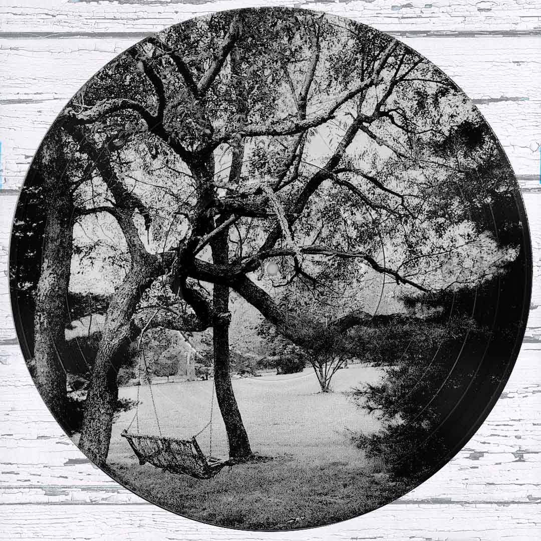 #99 Swing in the Woods